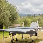 Matthaeus Am Corfutrail, Ferienoase Im Olivenhain 3 Km Zum