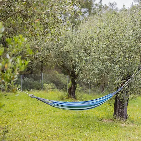 Matthaeus Am Corfutrail, Ferienoase Im Olivenhain 3 Km Zum * Giannádes