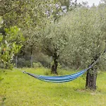 Matthaeus Am Corfutrail, Ferienoase Im Olivenhain 3 Km Zum * Giannades